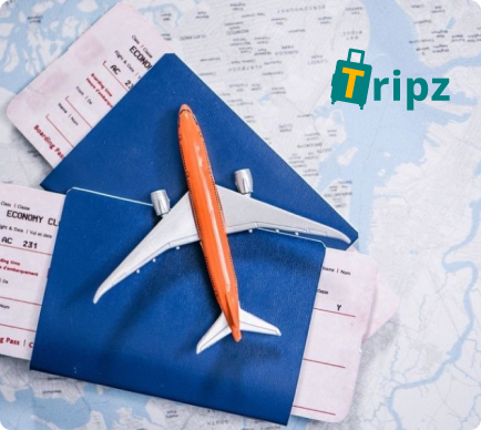 AboutTripz